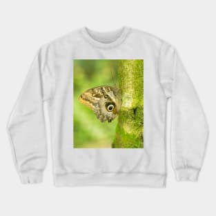 cbs owl butterfly Crewneck Sweatshirt